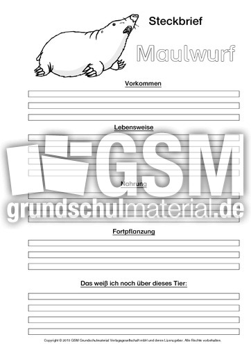 Maulwurf-Steckbriefvorlage-sw-3.pdf